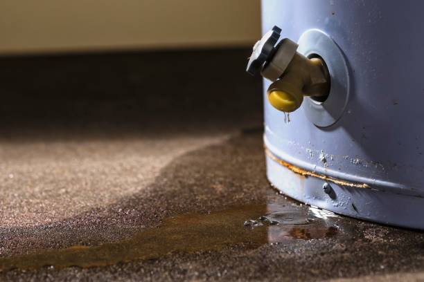 Best Local water damage restoration  in Ferguson, MO