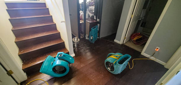 Best Water damage cleanup near me  in Ferguson, MO