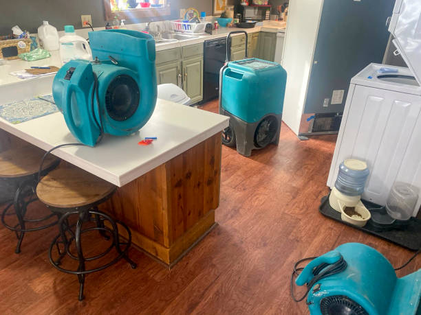 Best Carpet water damage restoration  in Ferguson, MO
