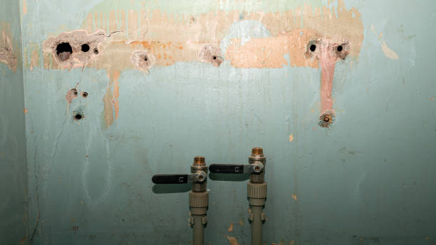 Best Sewage cleanup and water damage restoration  in Ferguson, MO